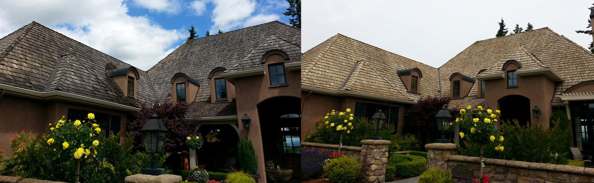 Cedar Roof